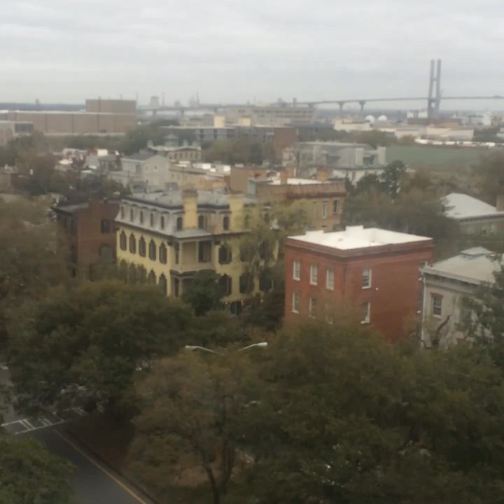 Savannah City - Views of the bridge - Public Services & Government Near Me - Savannah, Georgia