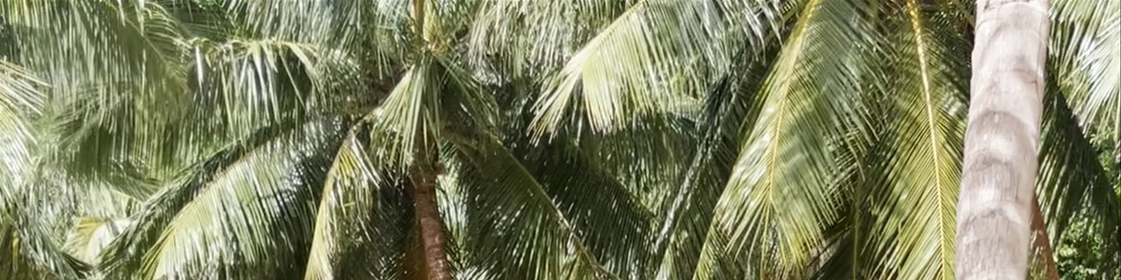 Seven Commandos Beach