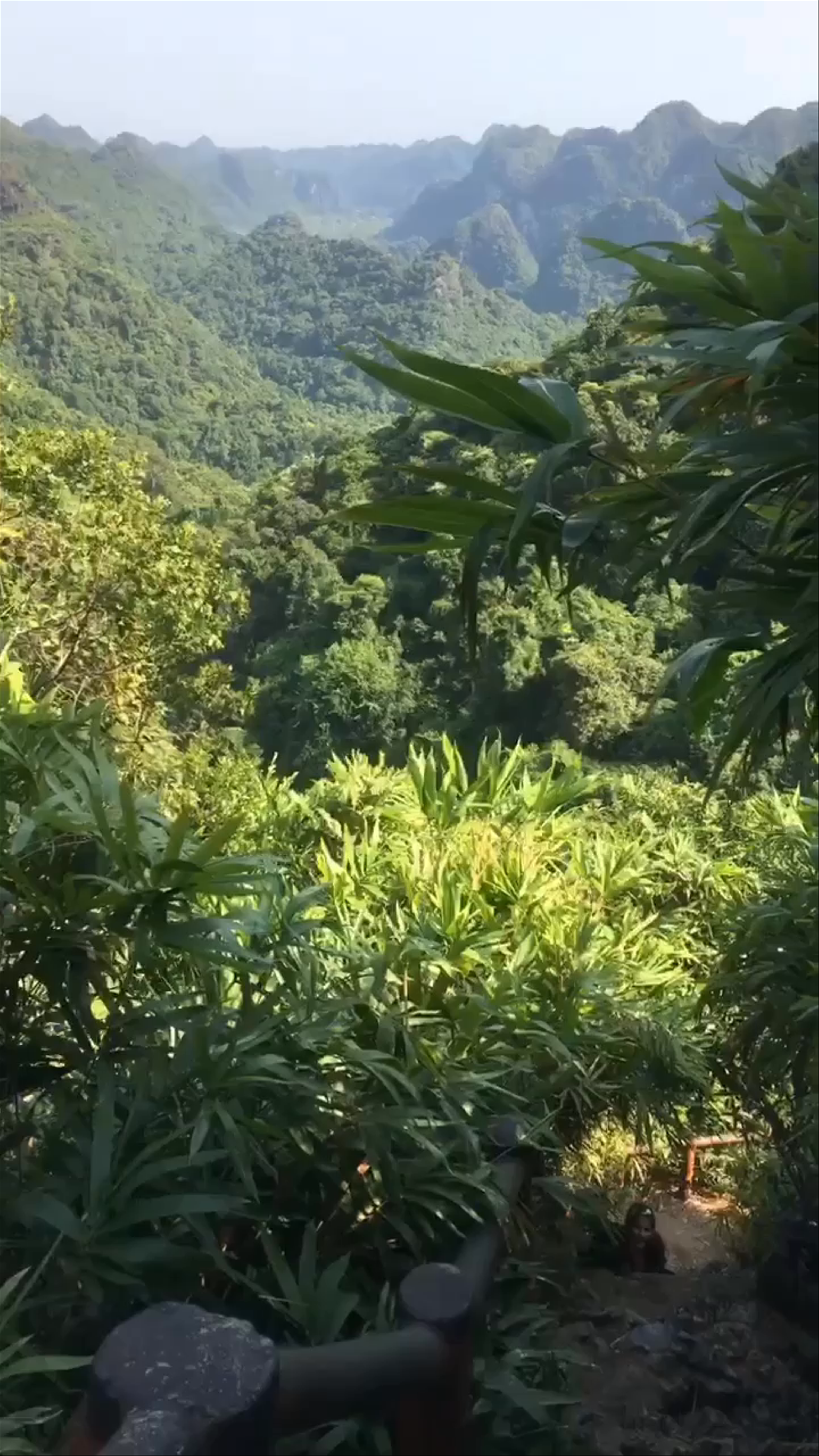 Exploring Đỉnh Ngự Lâm: Majestic Mountain Views in Cát Hải, Haiphong