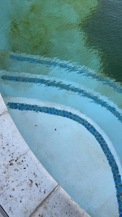 Predominant Pool Services - What My pool looked like when he first came. - Pool & Hot Tub Service Near Me