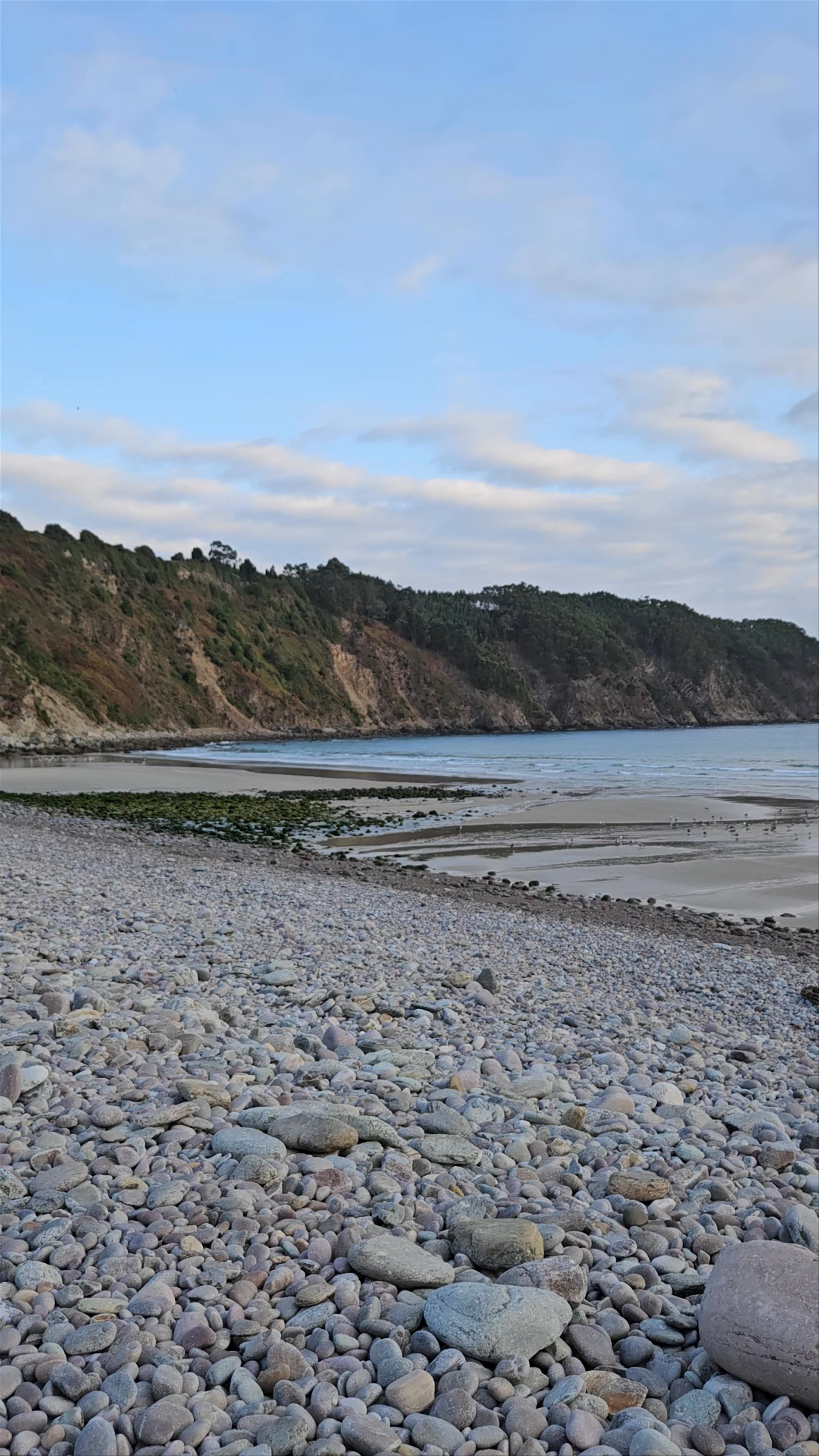 Playa de la Concha de Artedo
