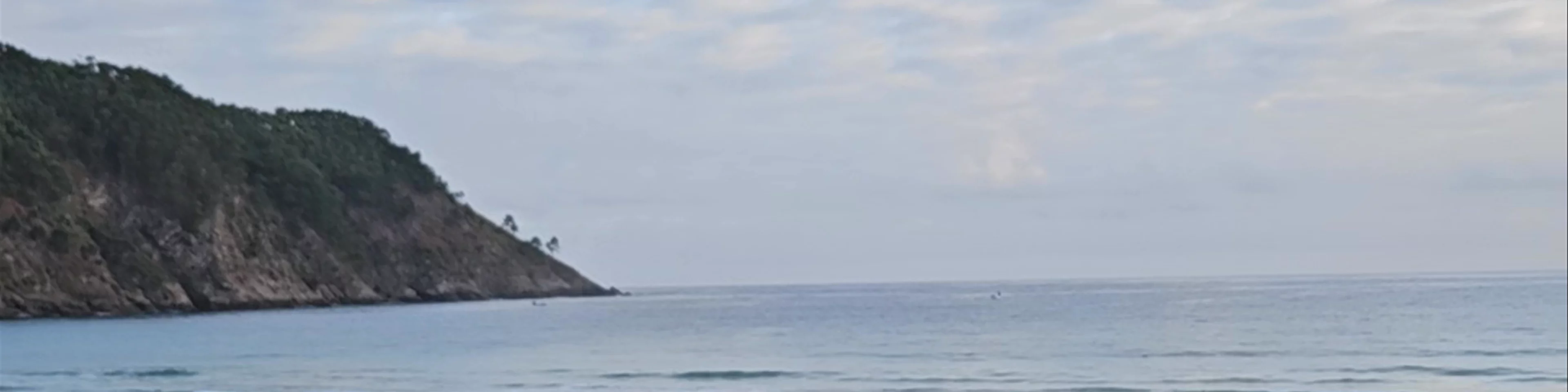 Playa de la Concha de Artedo