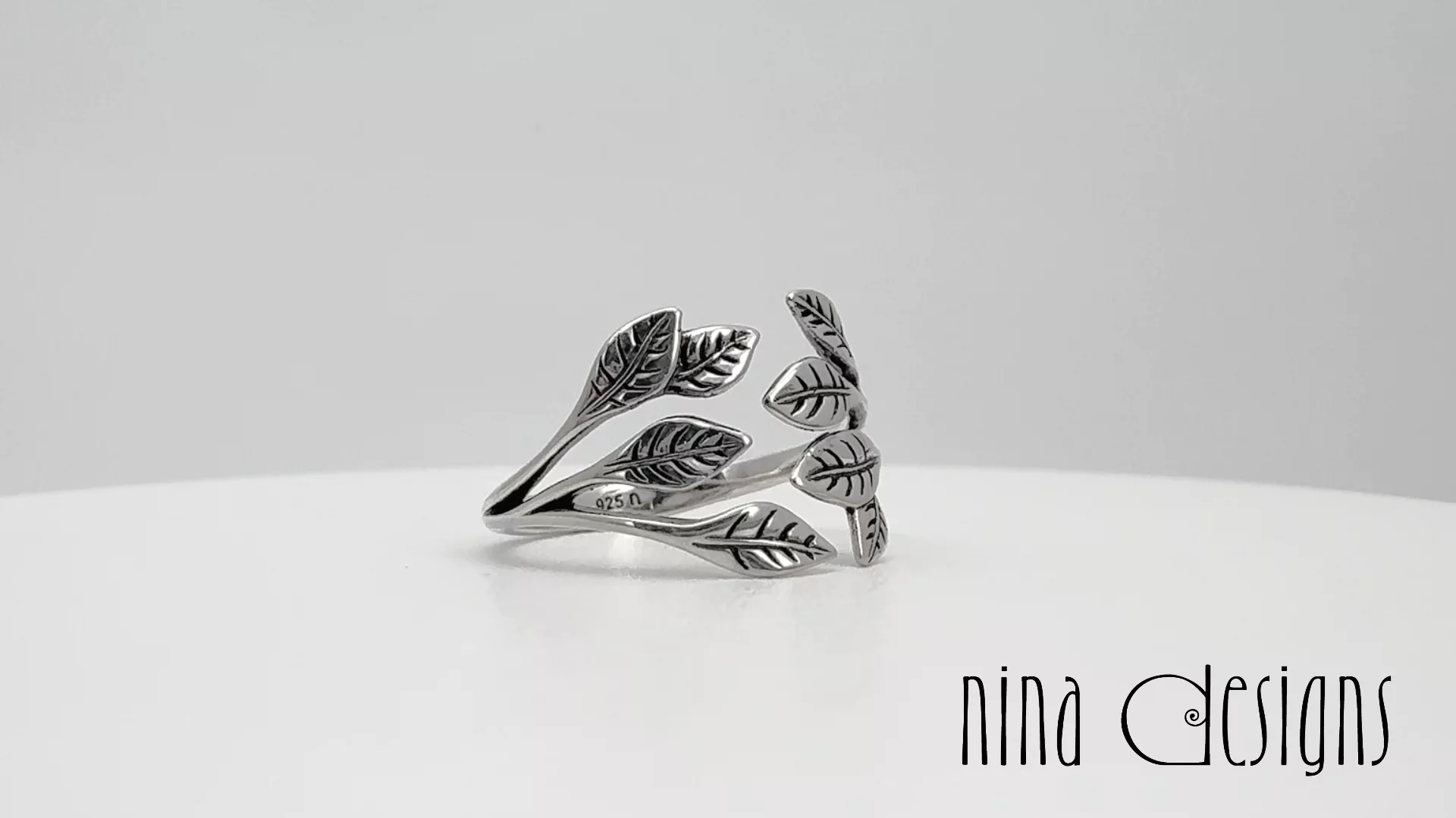 Preview image for video