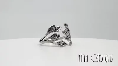 Preview image for video