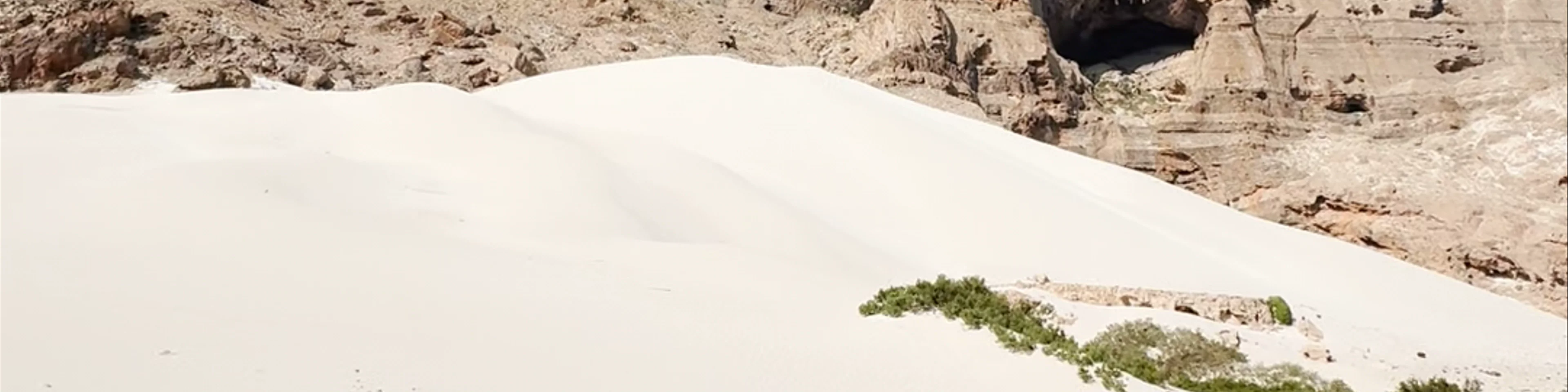 شاطئ موري - Murray Beach، Mori