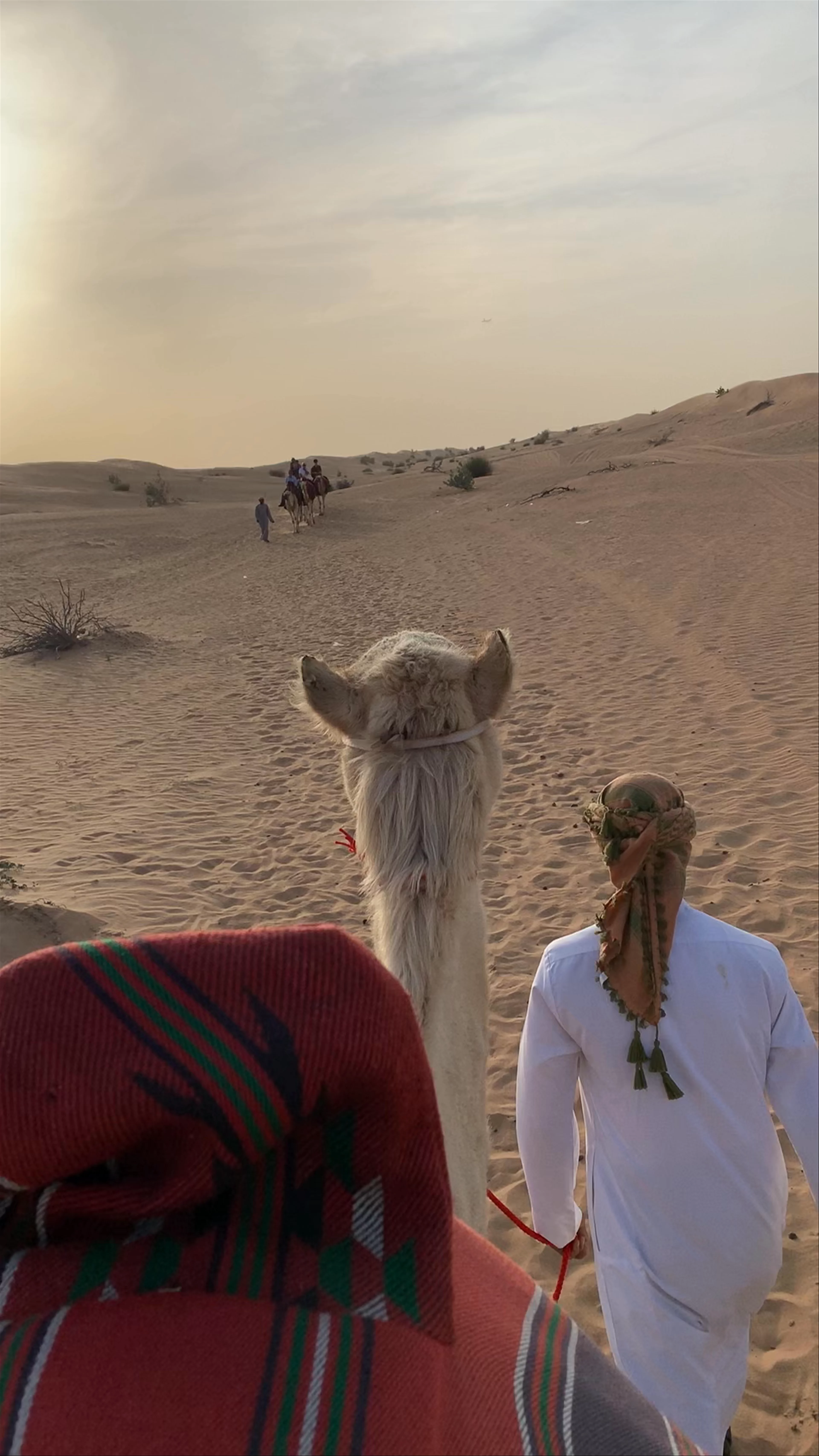 Desert Safari Dubai - Dubai - United Arab Emirates