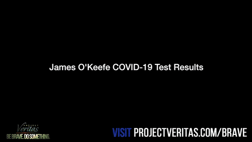 Video Thumbnail Loop