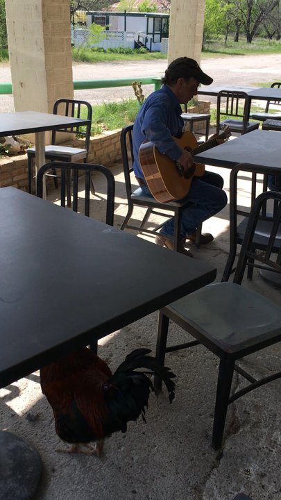 Bad Bob's Bend Store - Surprised him... the guitar player not so much - Grocery Near Me - Bend, Texas