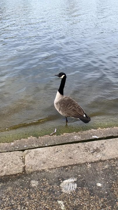 Hyde Park - Parks Near Me