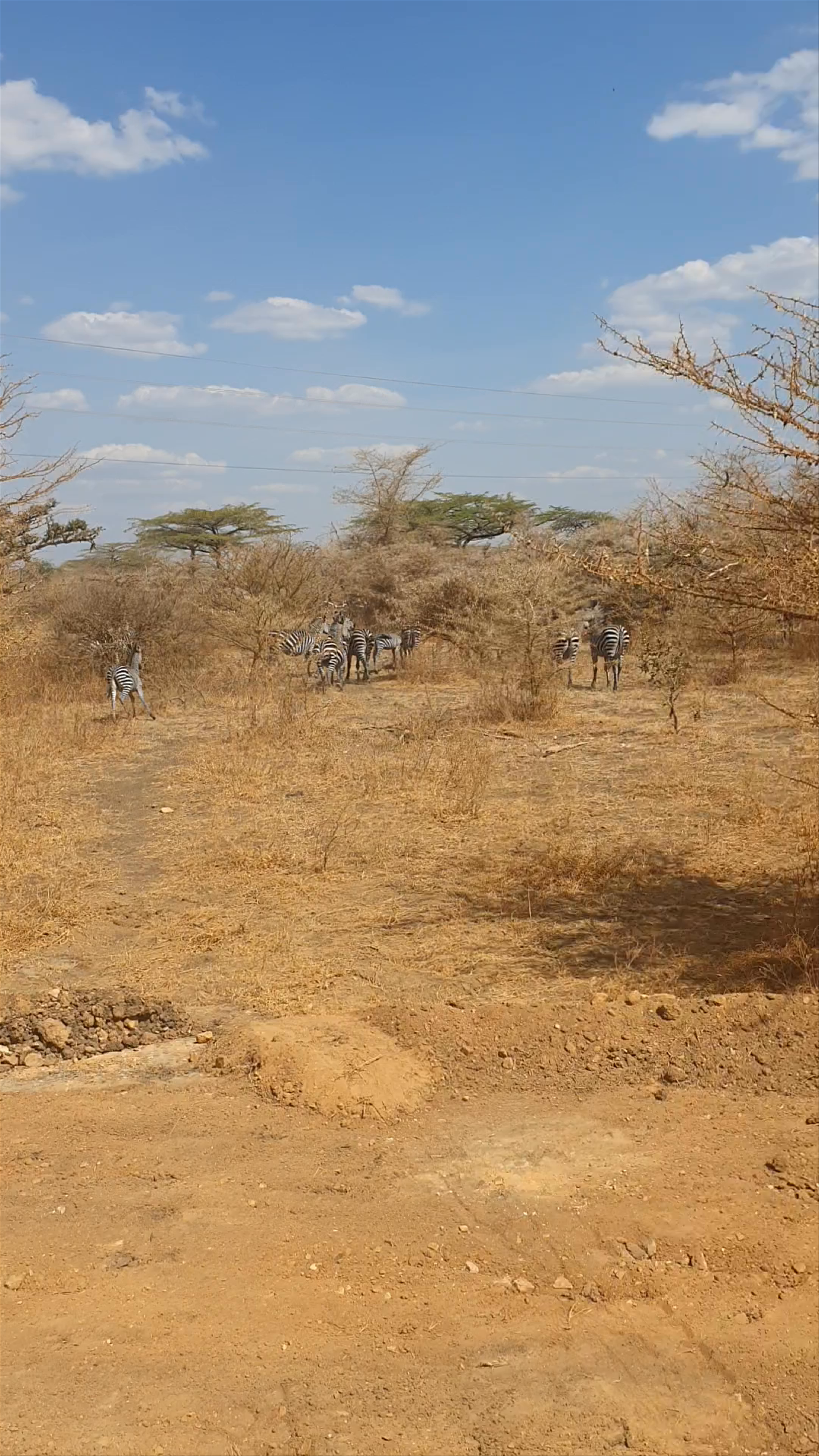 Nyerere National Park