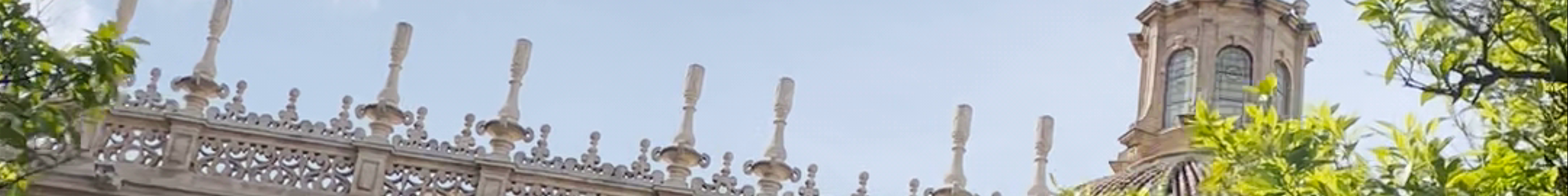 Tours & experiences in Sevilla