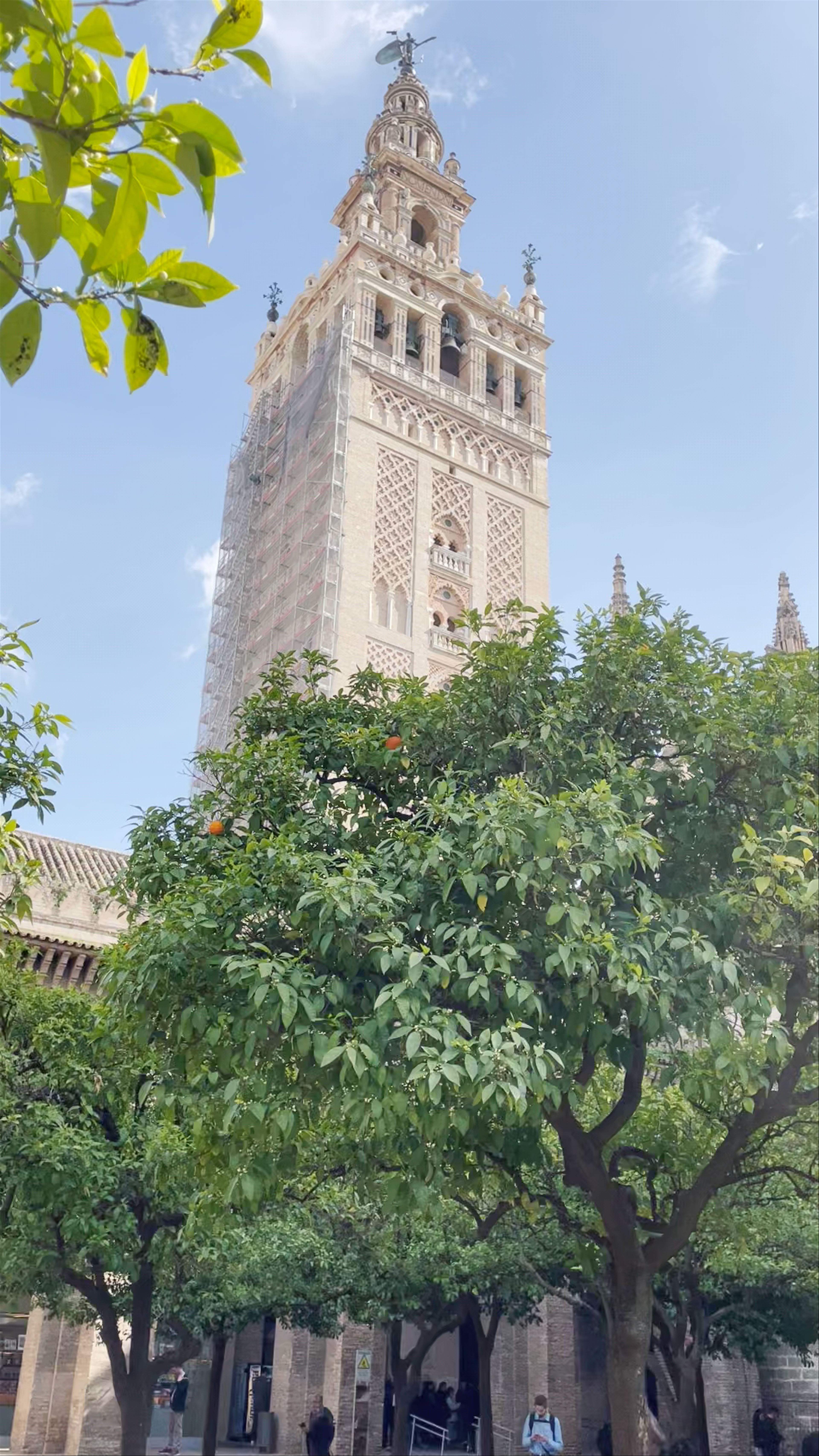 Orange Tree Sevilla: Tranquil Historic Escape in Seville