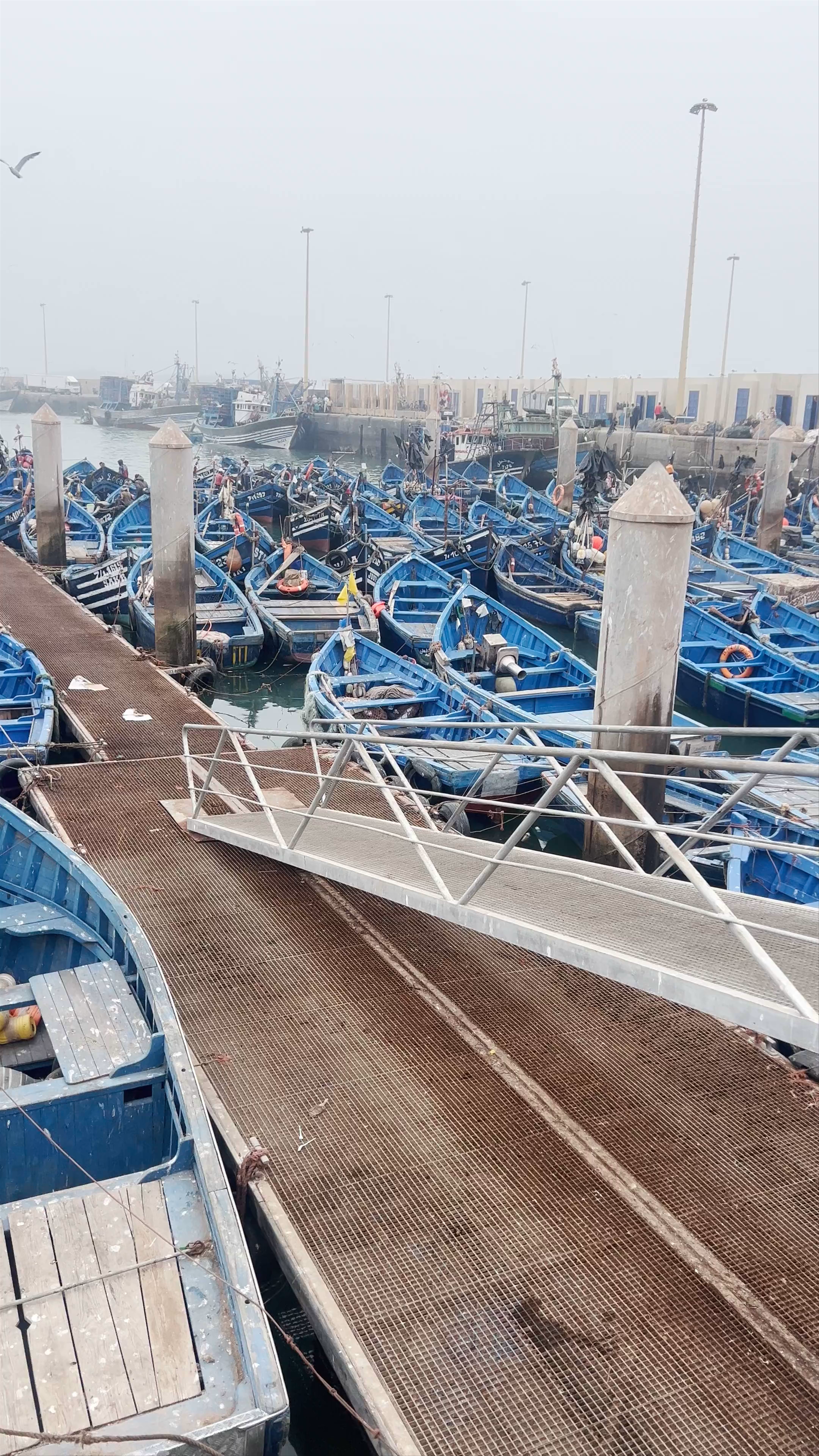 Essaouira Fishing Port: Blue Boats and Coastal Traditions
