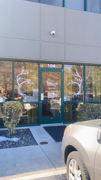 Kitty Kisses Cat Cafe - Themed Cafes Near Me - Reno, Nevada