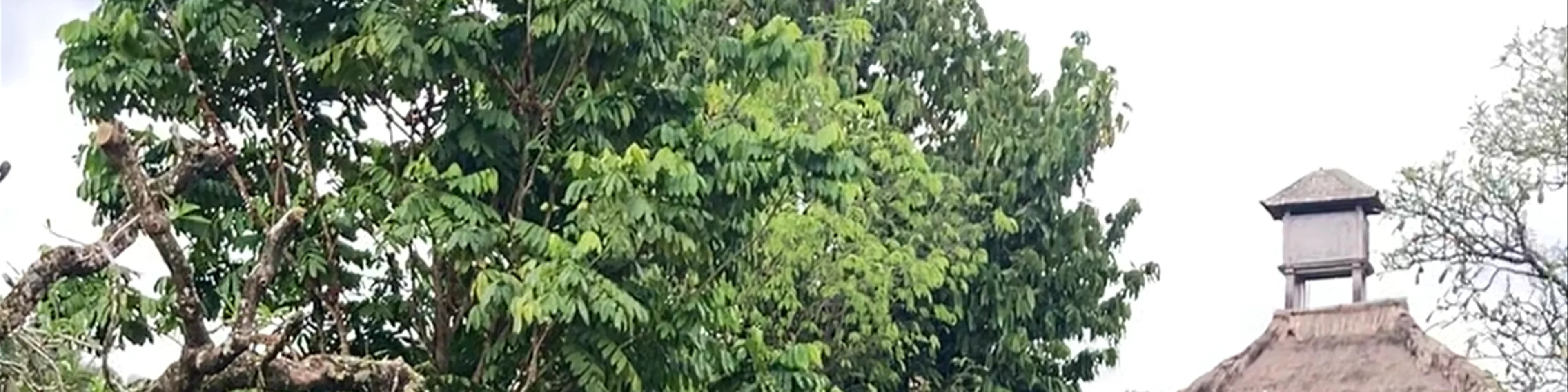 Saraswati Temple