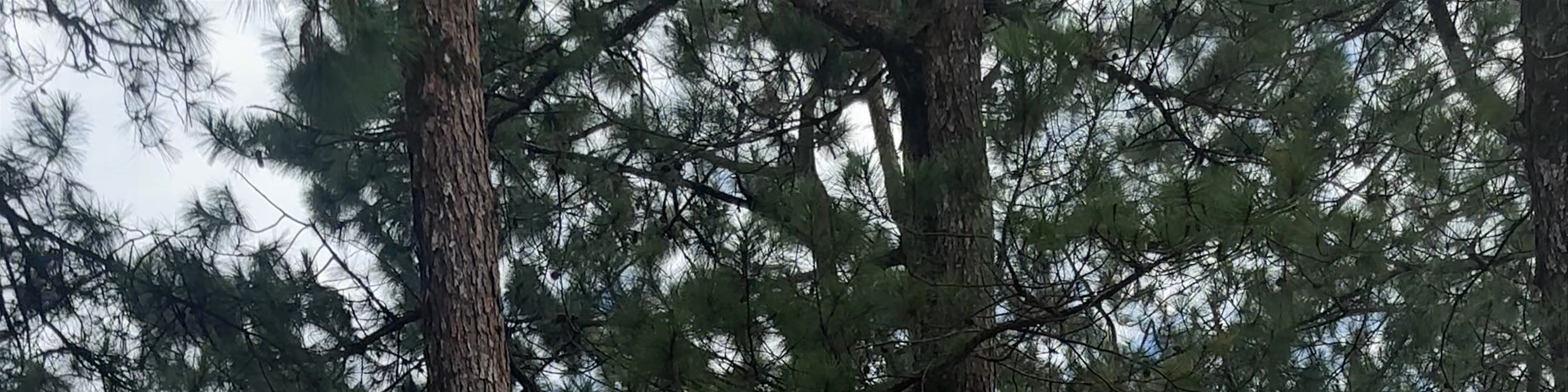 Baguio