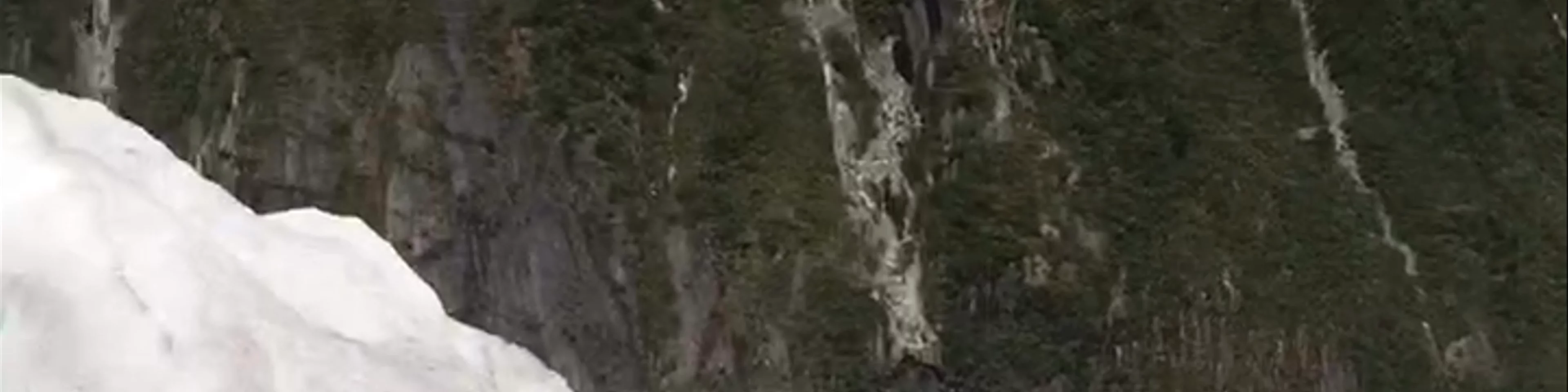 Franz Josef Glacier