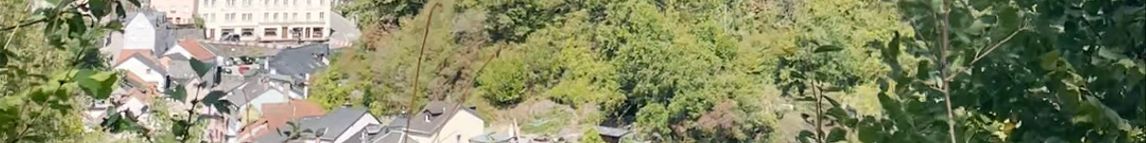 Tours & experiences in Vianden