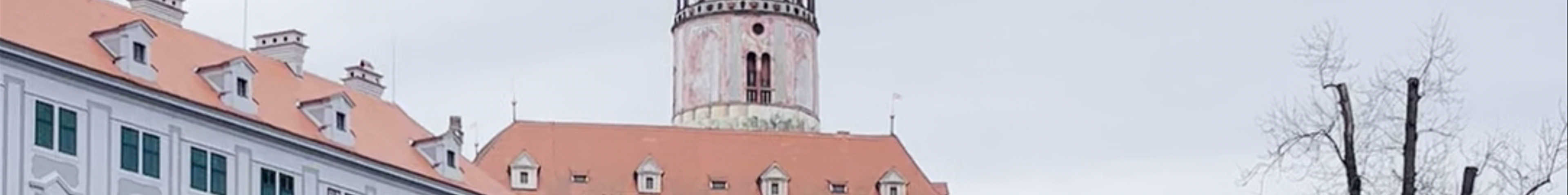 Tours & experiences in Jihočeský