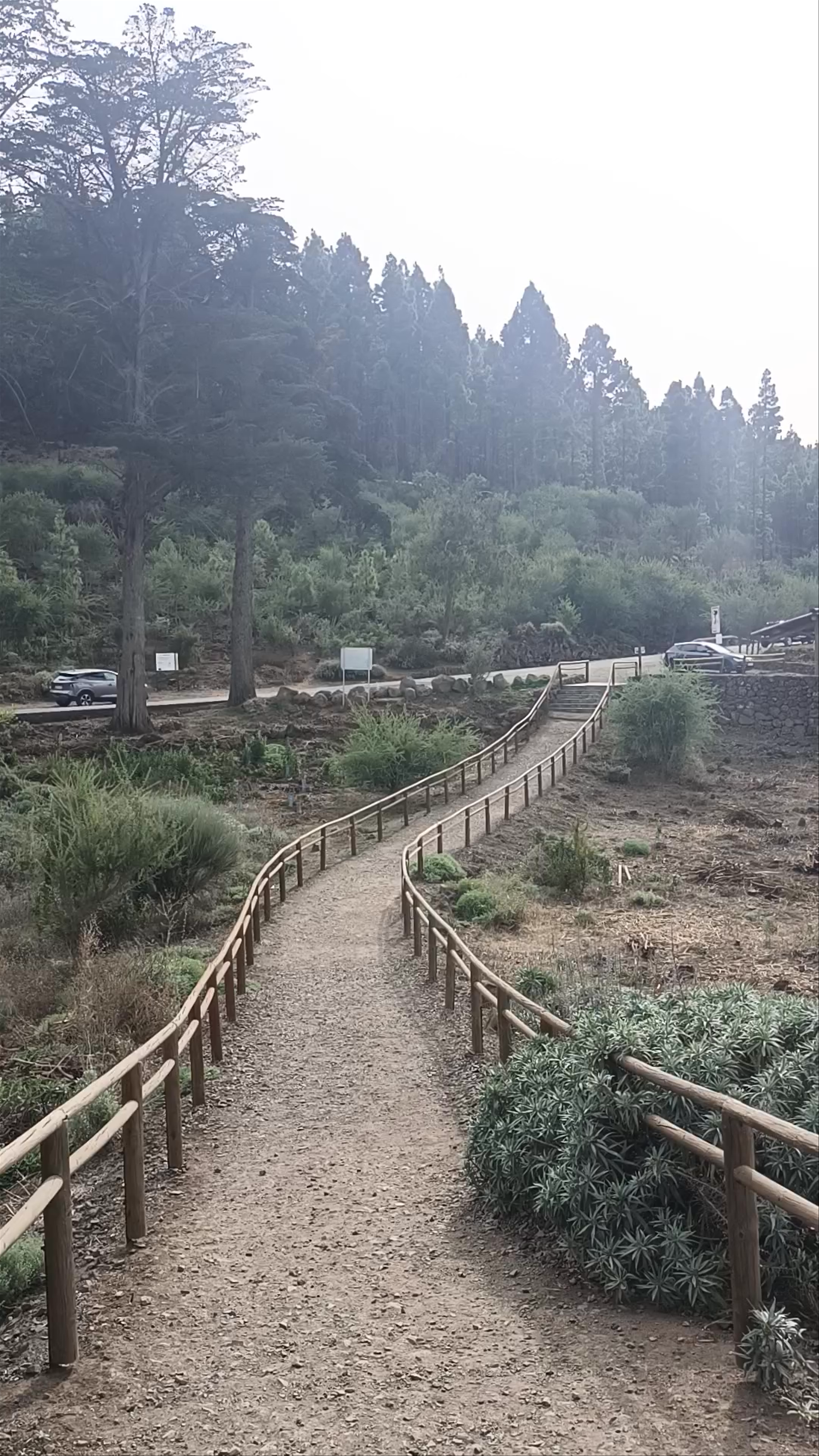 Mirador de La Bermeja