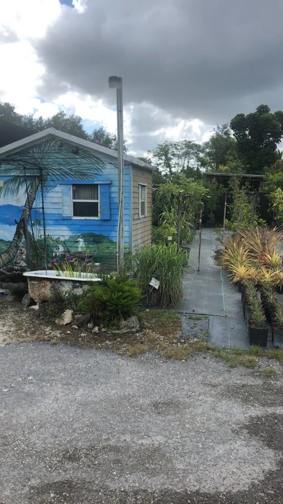 Casey's Corner Nursery - Lots of variety! - Nurseries & Gardening Near Me - Homestead, Florida