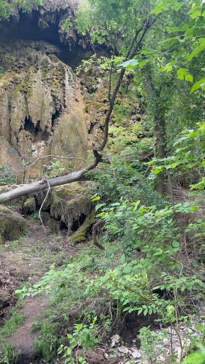 Colorado Bend State Park - Parks Near Me - Bend, Texas