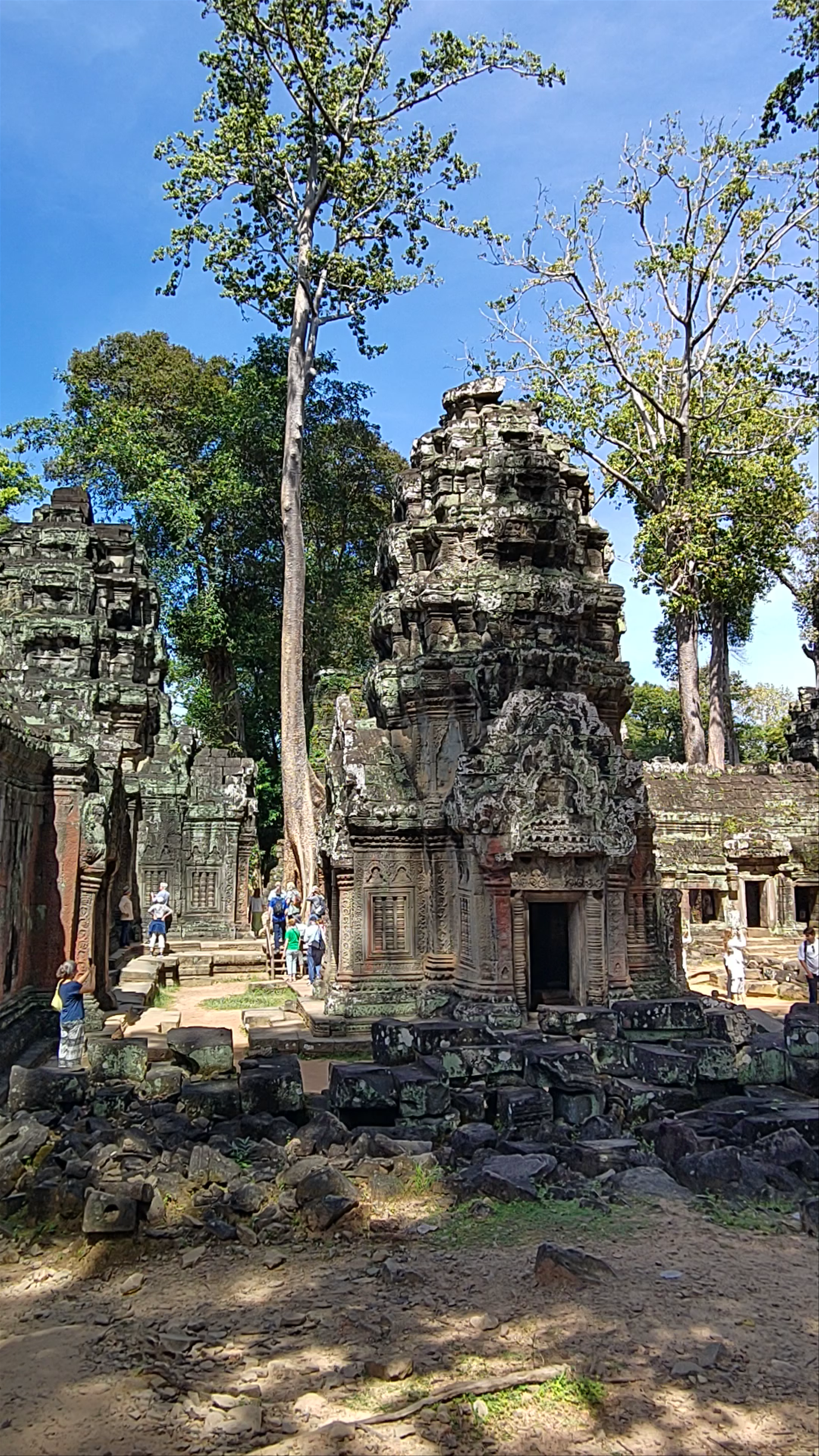 Ta Prohm