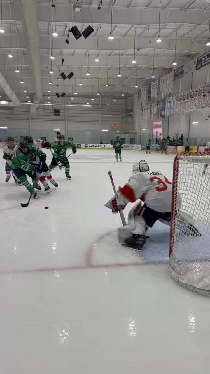 Daniel Watson's Offensive Masterclass vs. Cats - Jan 2026 Highlights