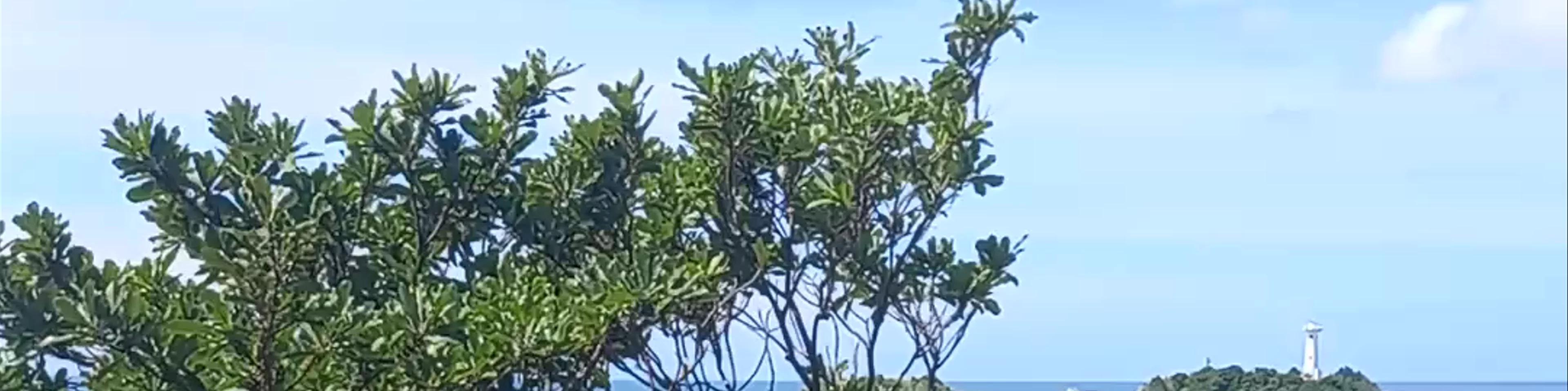 Leam Tanod Nature Trail