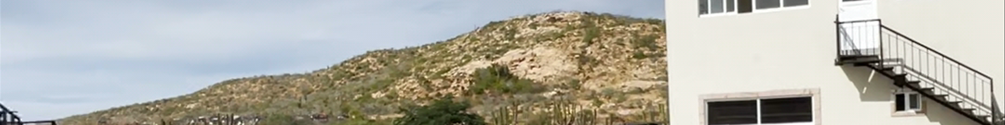Tours & experiences in Todos Santos