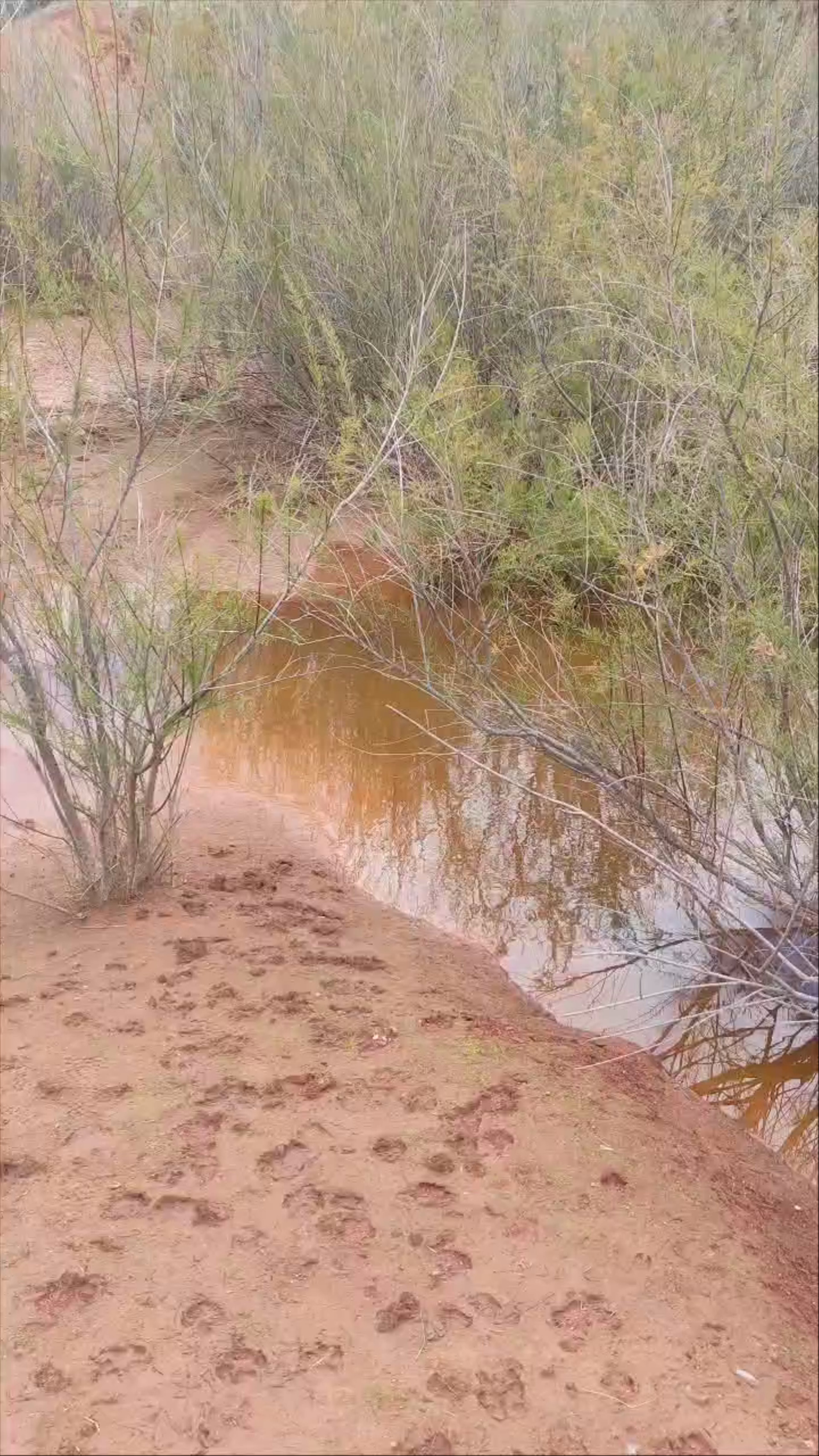 Laguna Margas Rojas