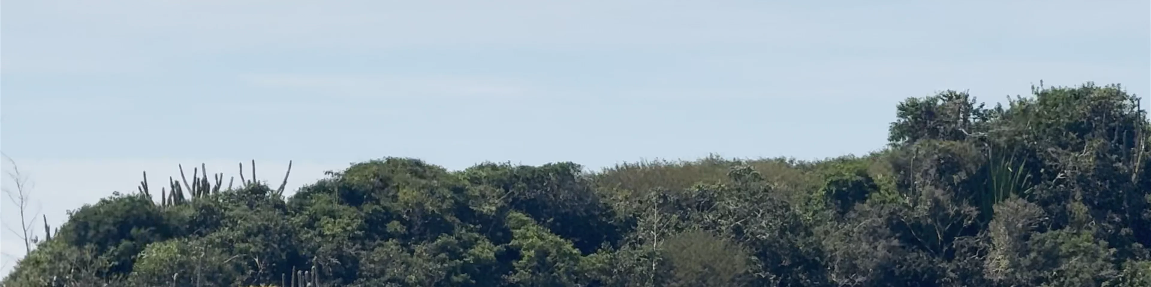 Praia da Armação