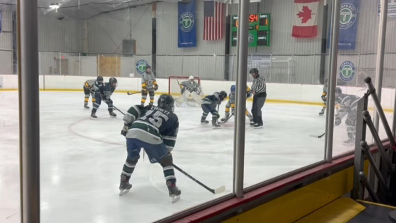 Adriano Carvalho: Florida Fury 14U AA Highlights vs. Houston Aeros