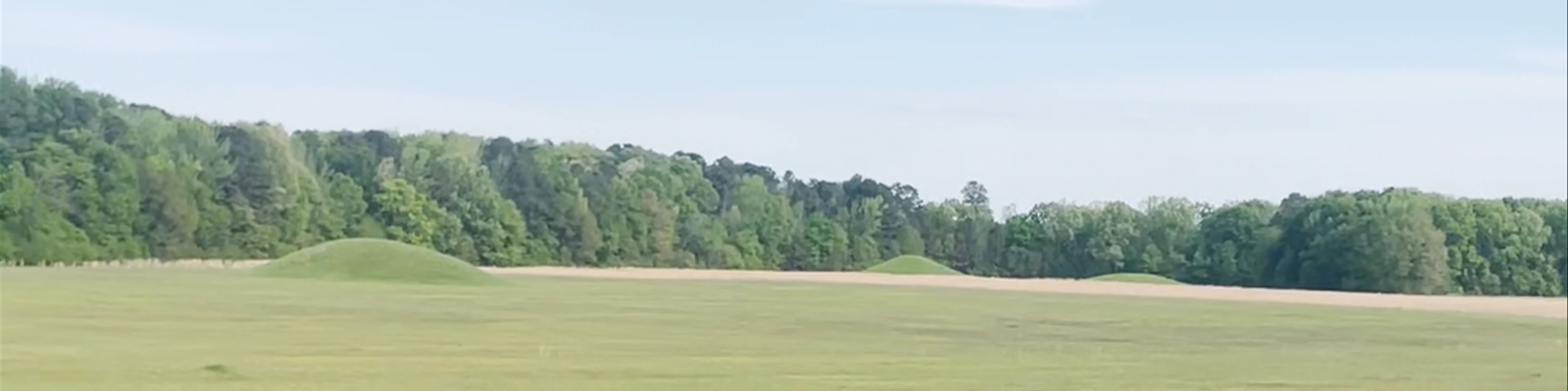 Pharr Mounds