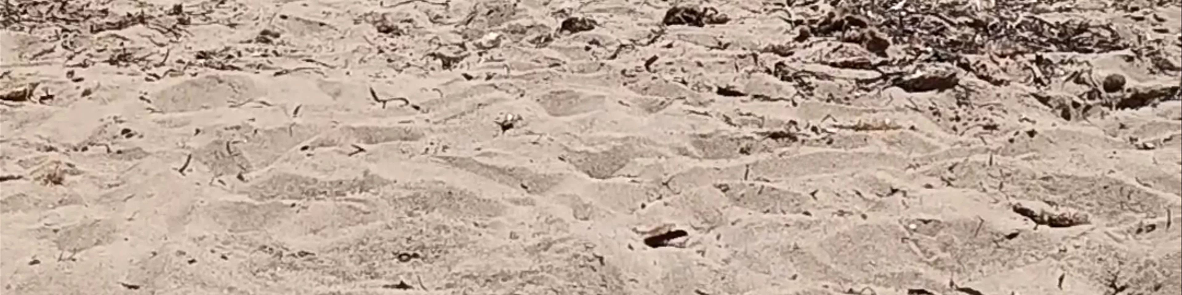 Cala Reona