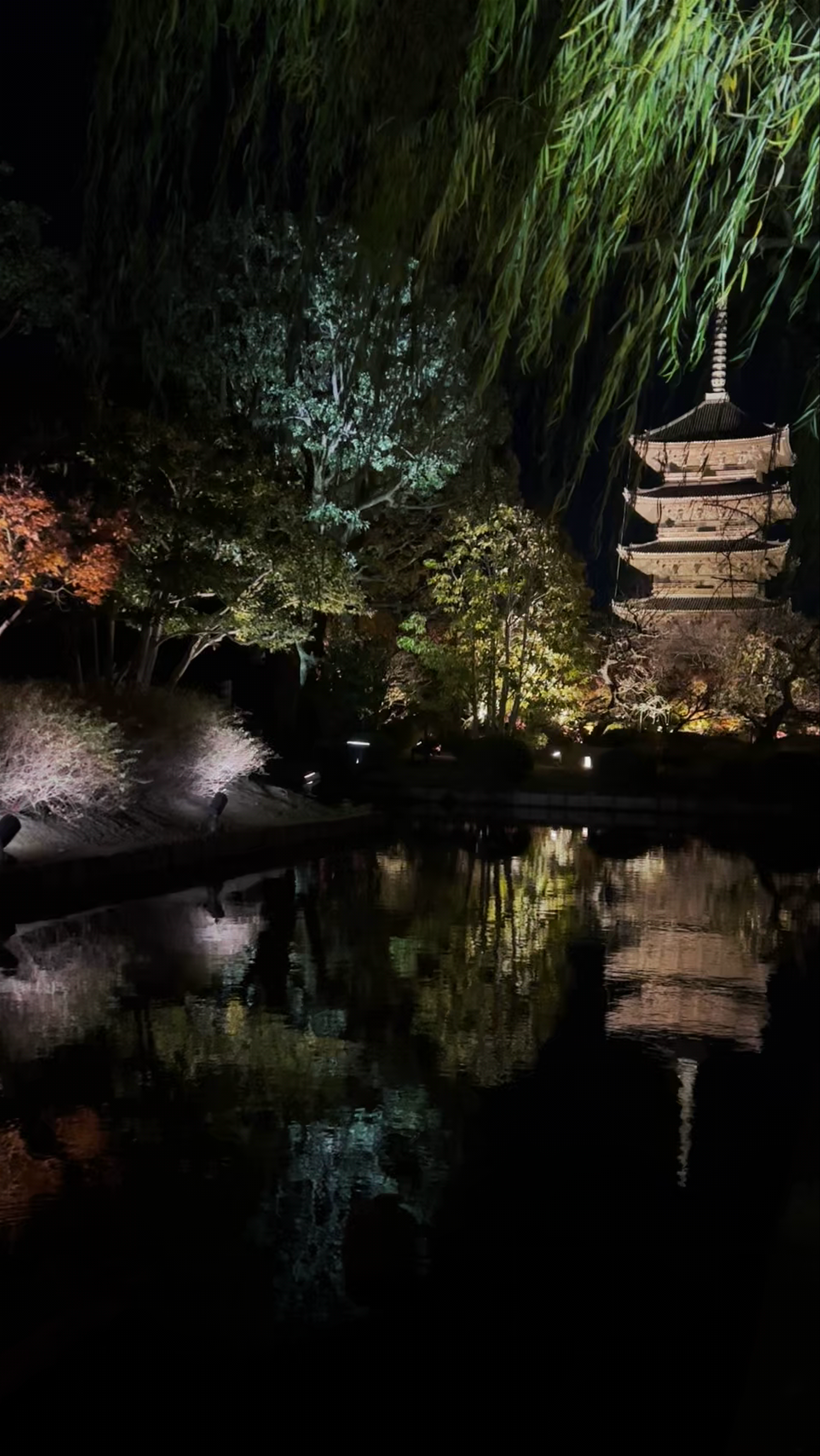 Tōji Temple Illuminated Night Stroll in Kyoto