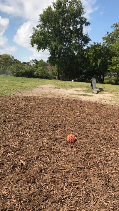 Lafayette Dog Park - Dog Parks Near Me - Norfolk, Virginia