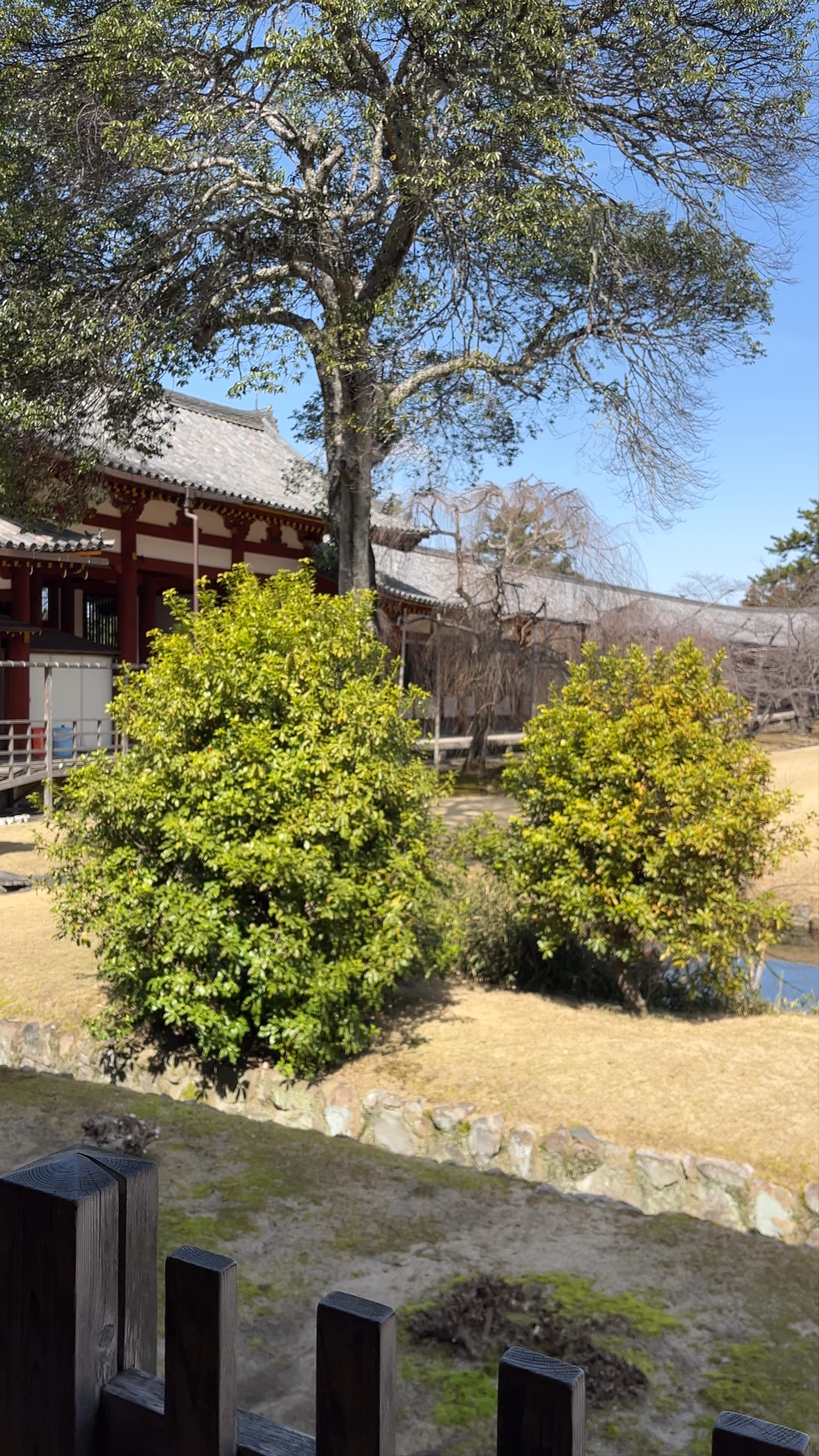 Tōdai-ji Temple