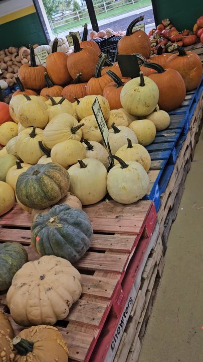 Produce Junction - Farmers Market Near Me - Maple Shade, New Jersey