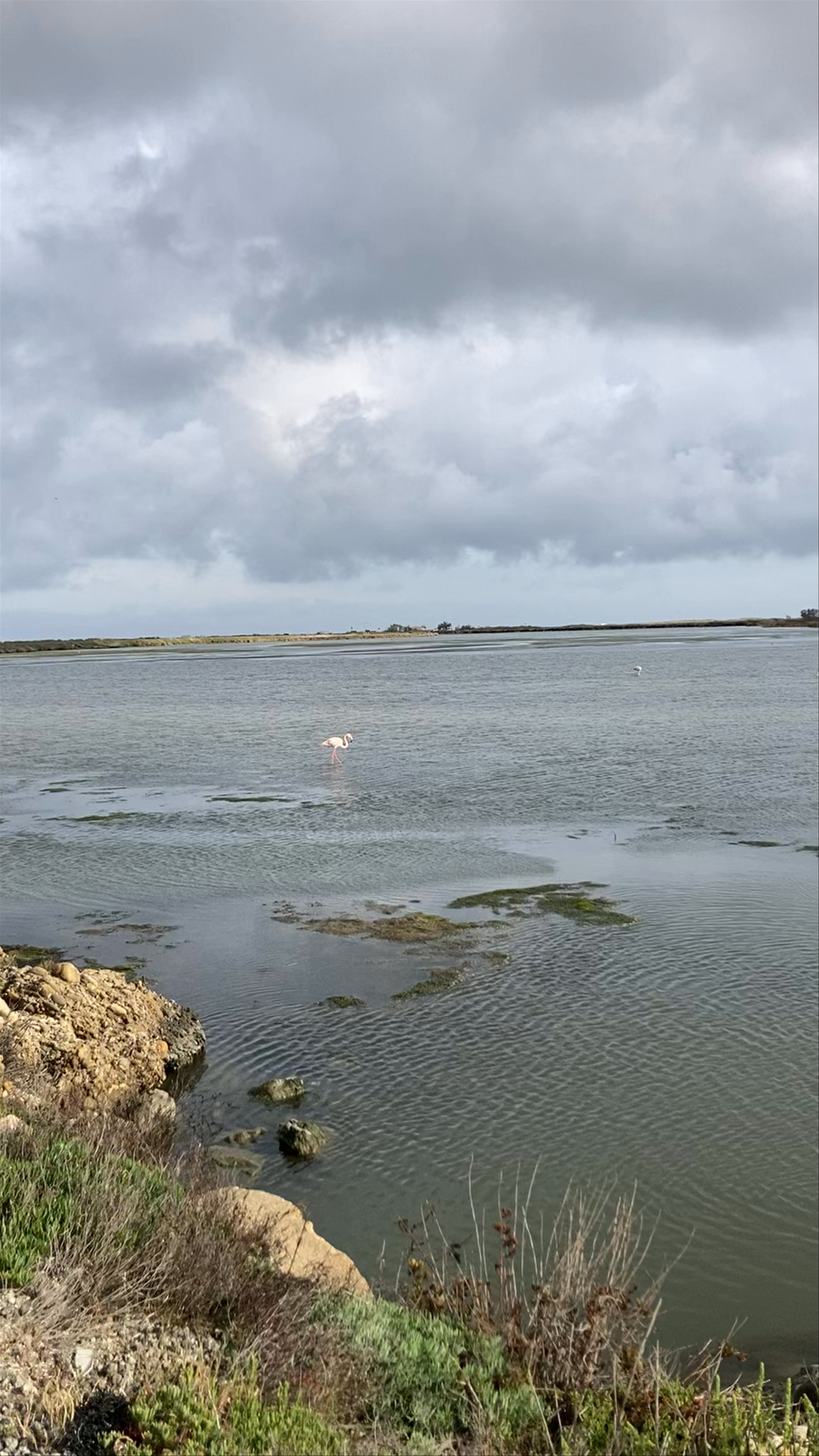 Parc naturel régional de Camargue