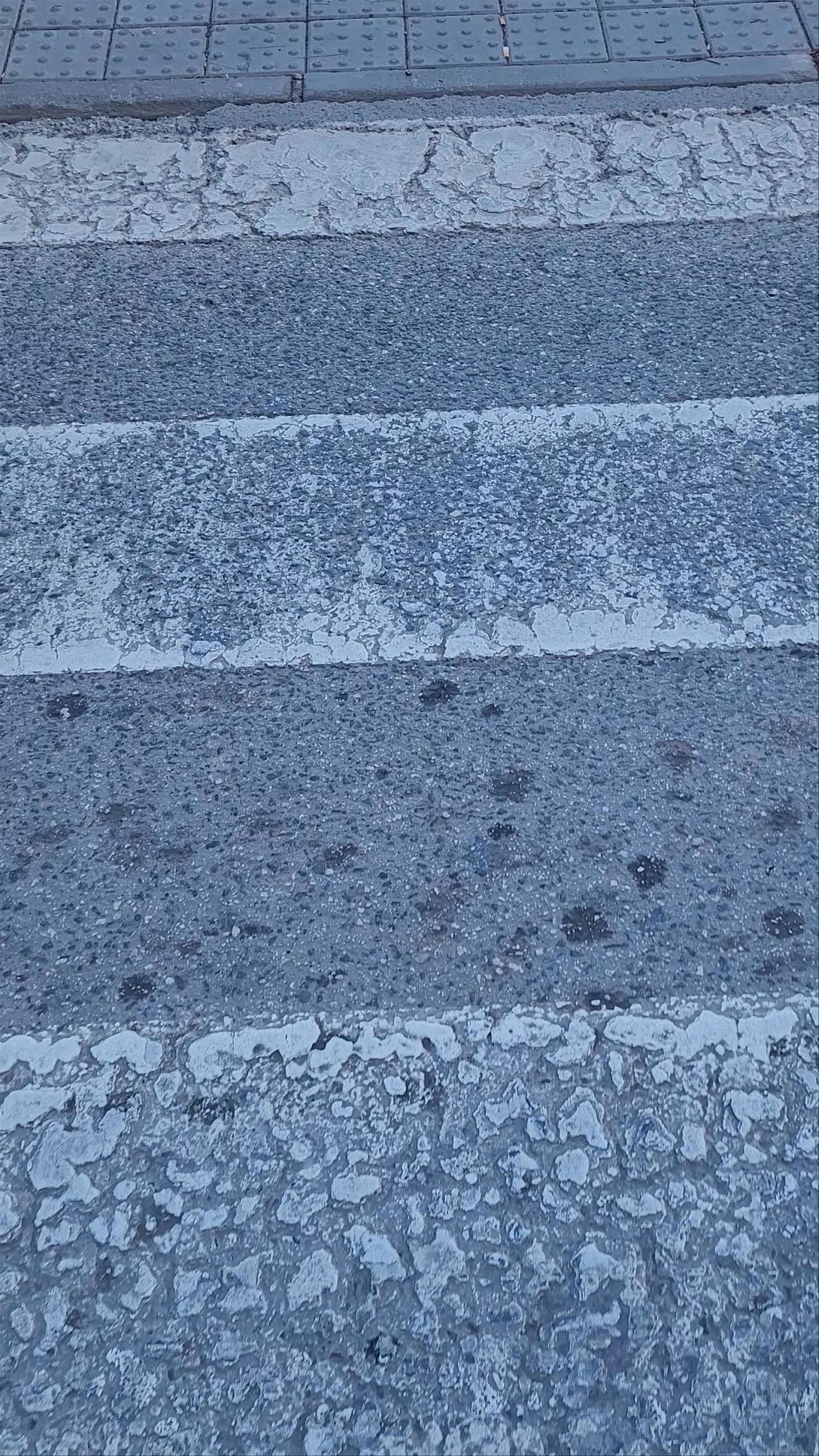 Jardín de Campoamor