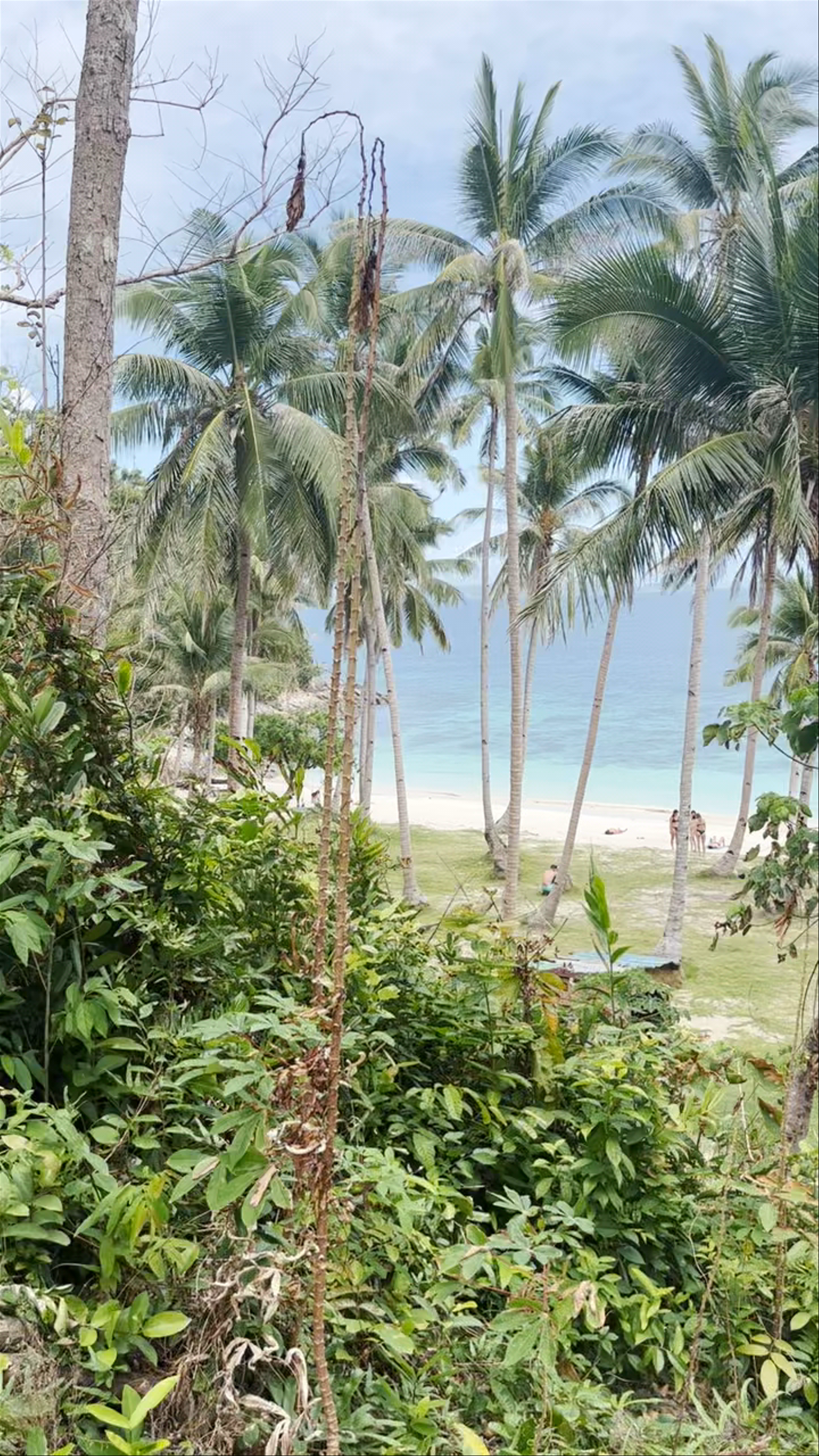 El Nido Beach: Tropical Paradise and Serenity in the Philippines