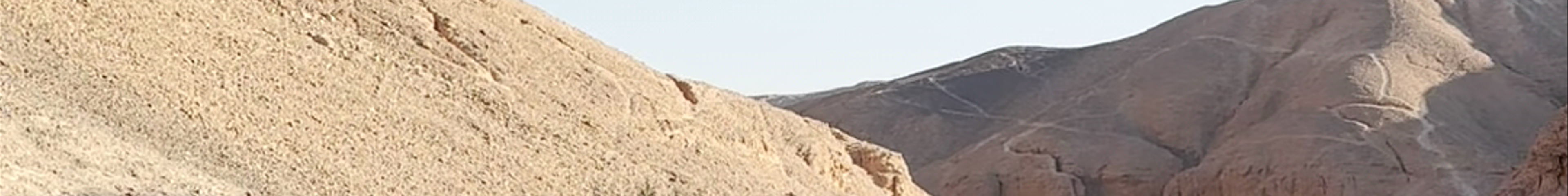Tours & experiences in Qina