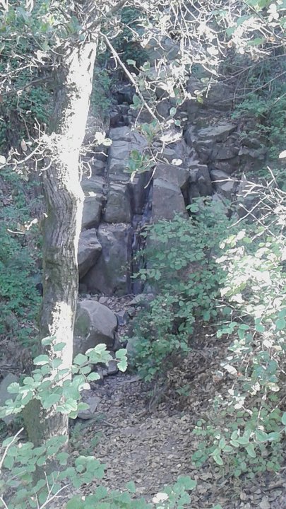 Montclair Railroad Trail - This is the secret waterfall, but no water today - Parks Near Me - Oakland, California
