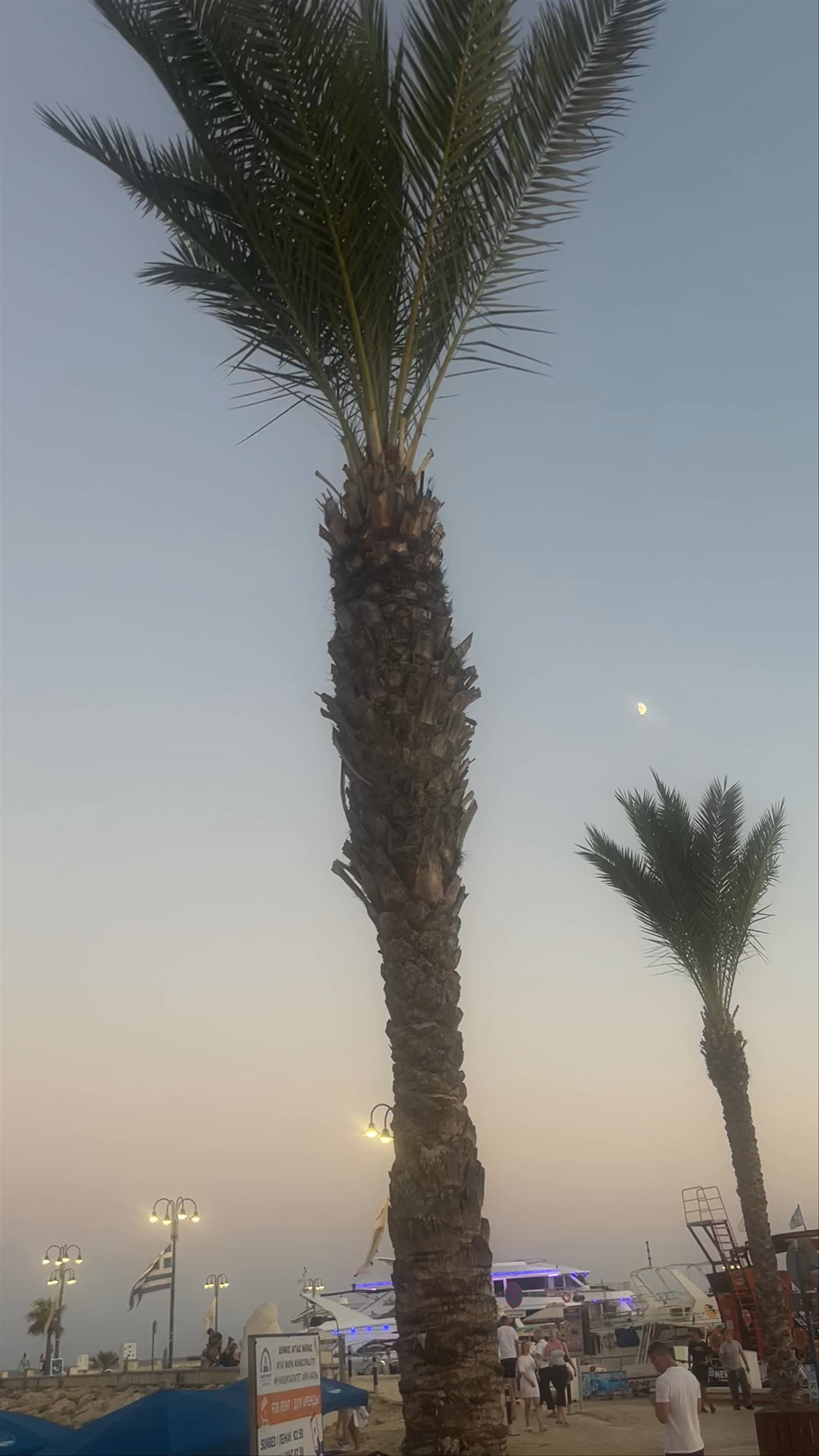 Limanaki Beach (Public Beach)