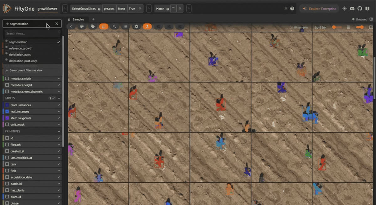 GrowliFlower UAV cauliflower plants with colored instance segmentation masks in the FiftyOne app