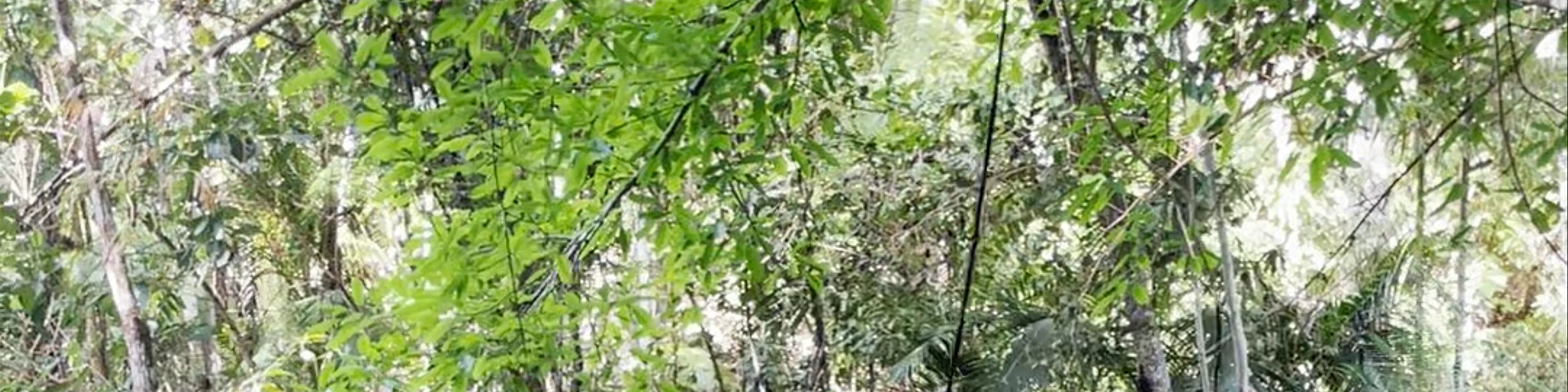 Lagaan Falls