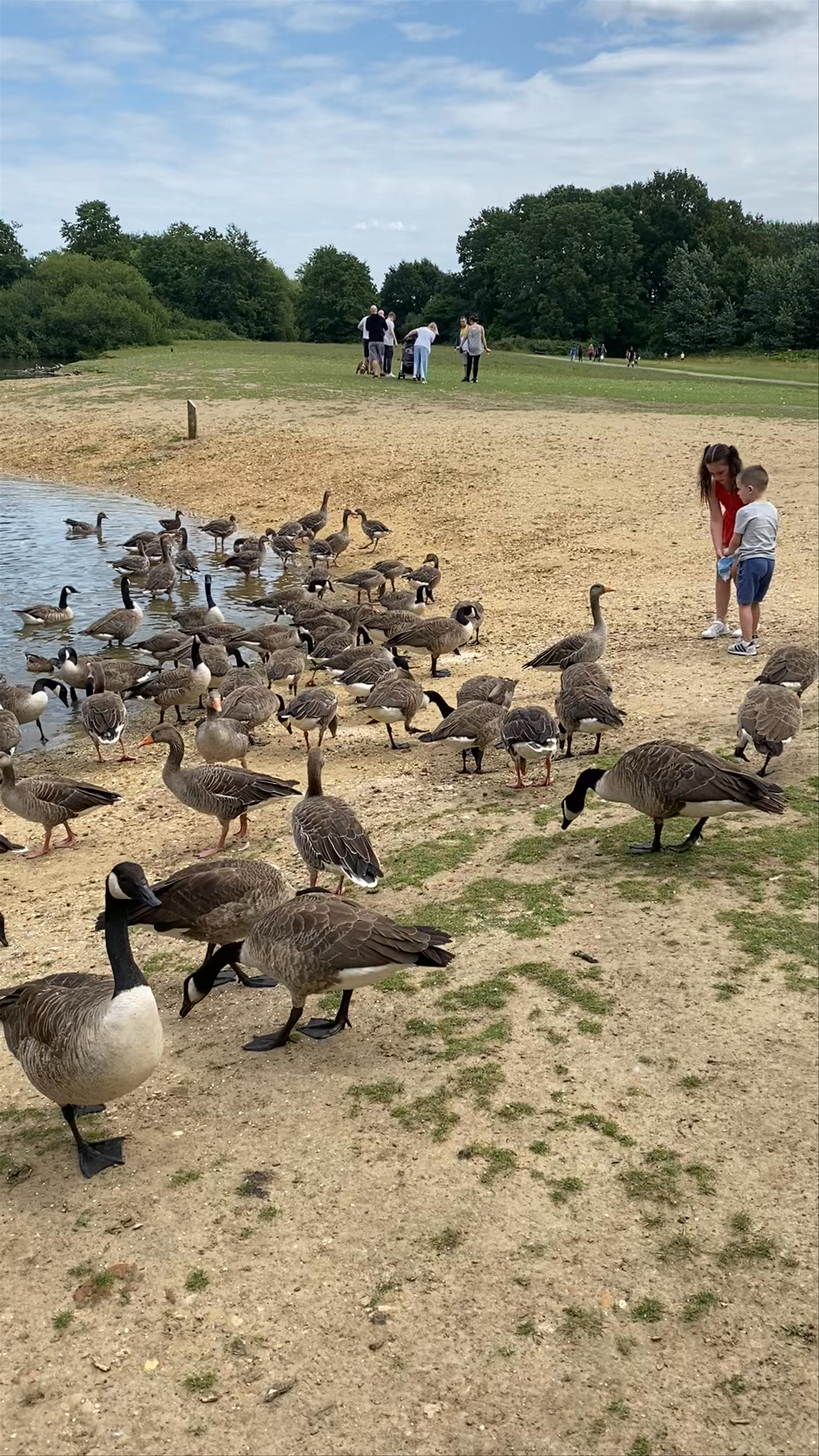 Belhus Woods Country Park Walk