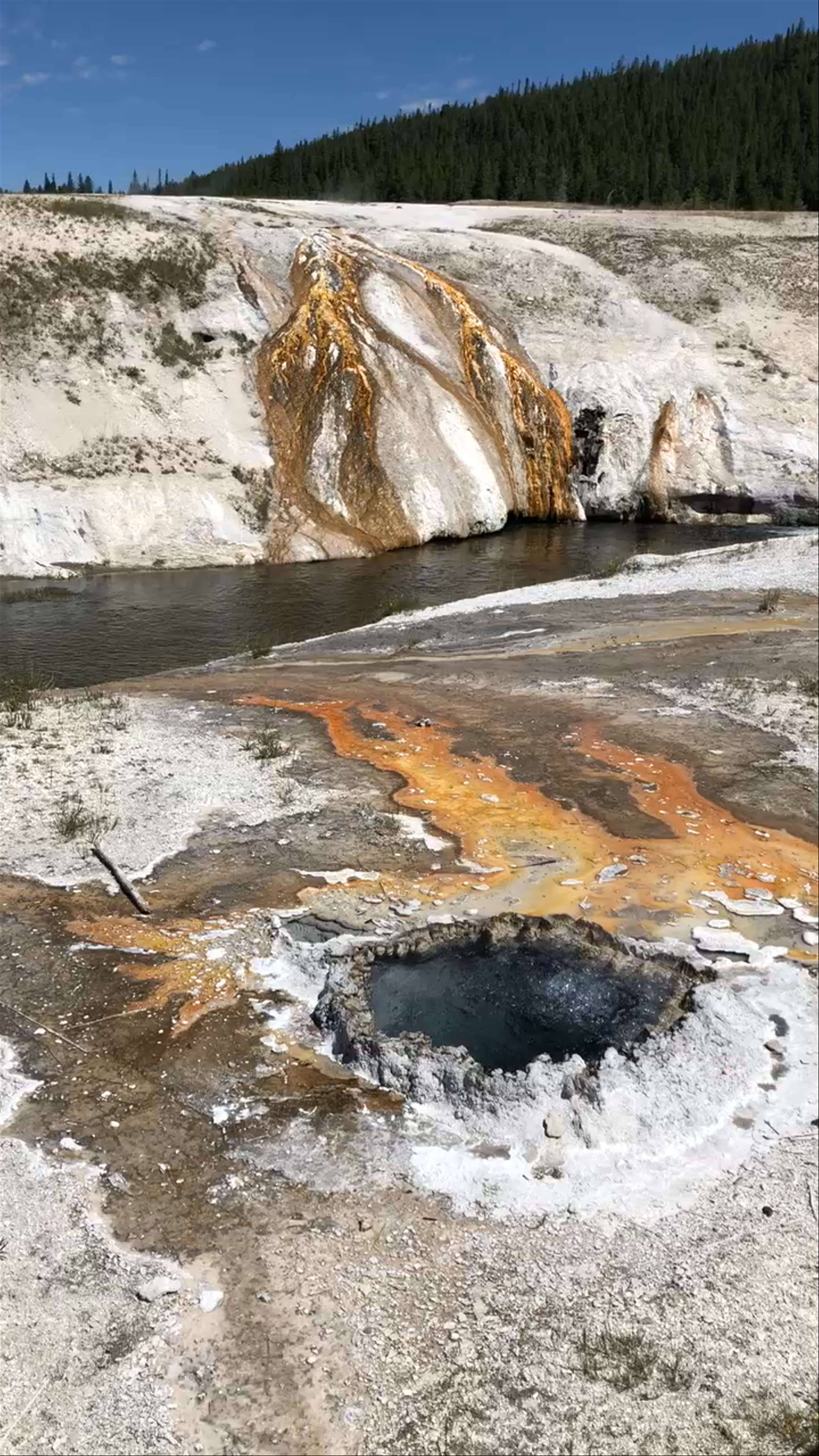 Mammoth Hot Springs