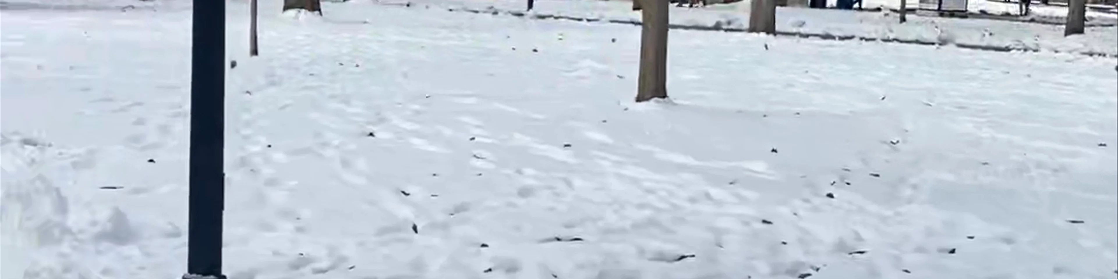 The Diag
